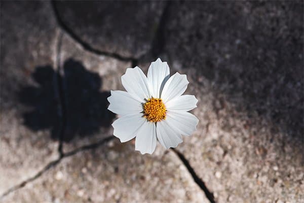 Desastres naturais e a resiliência preventiva